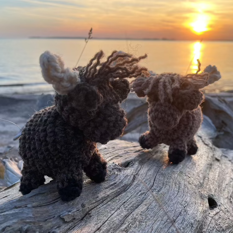 Topsy Farms' handmade wool highland cows