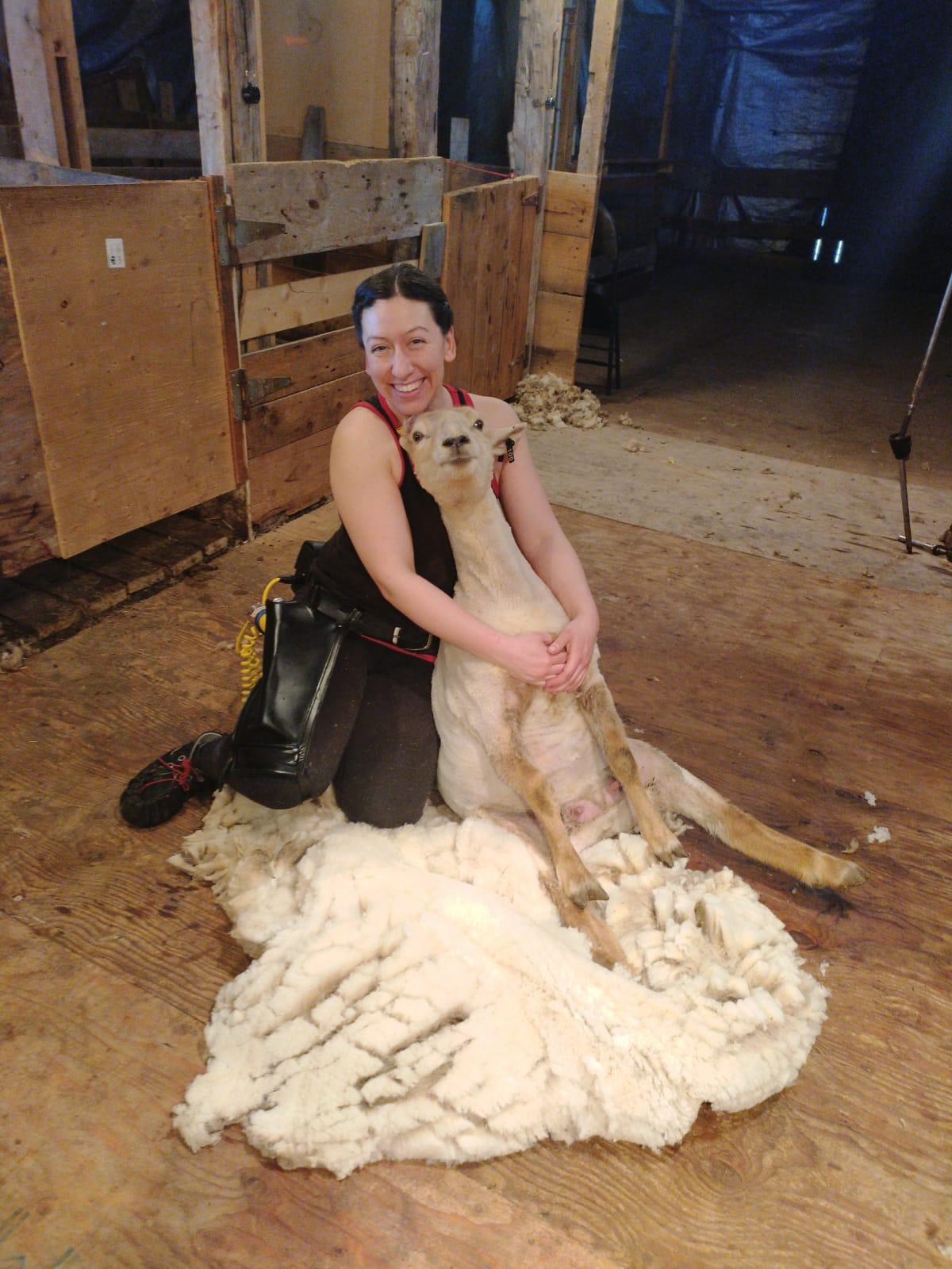 Shearing with Kay 2025 - April 12-13