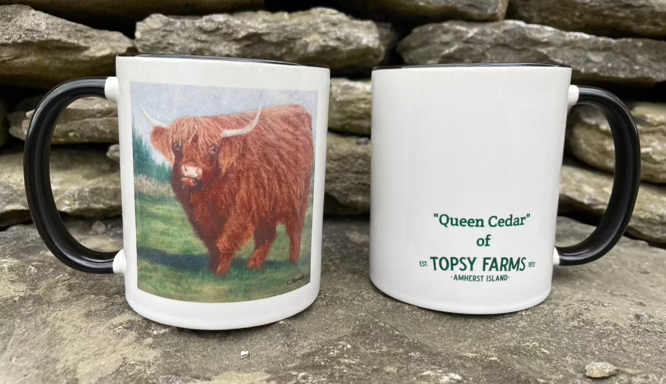 Topsy Farms' highland cow ceramic mug